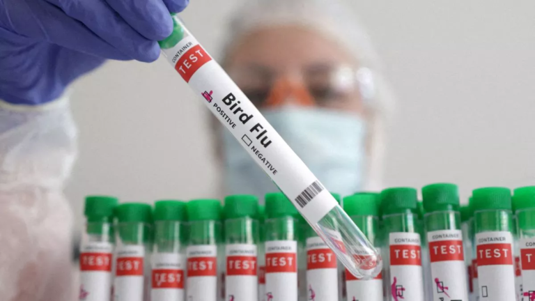 29_05_2025-bird_flu_vaccine_23950114