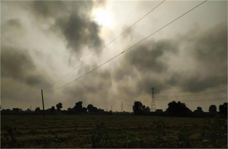 07_39_531617588weather-ll