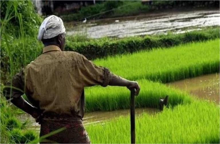 2025_6image_10_47_576345283haryanafarmers-ll (1)