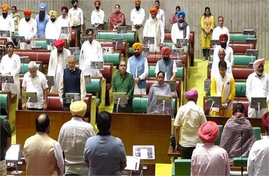 2025_7image_11_34_481342590assembly-ll