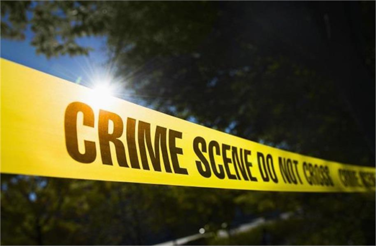 2025_7image_14_23_268864392crime-ll