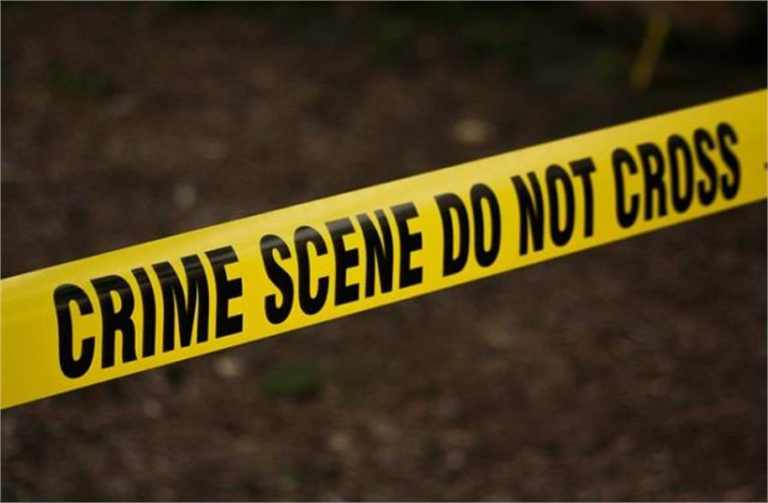 2025_7image_14_50_329644667crime-ll (1)
