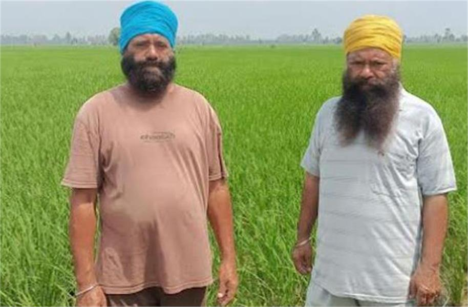 2025_7image_15_29_369843966farmer-ll