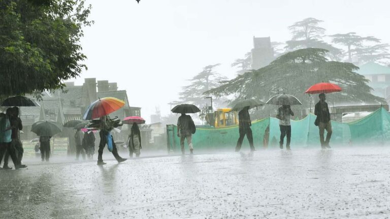 himachal rain