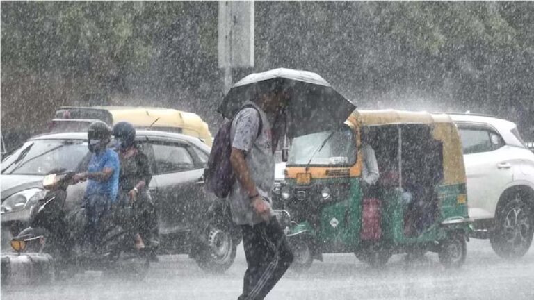 imd report
