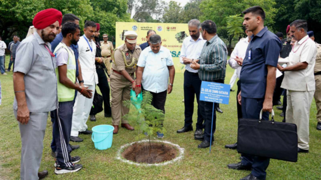 plantation-drive-1600