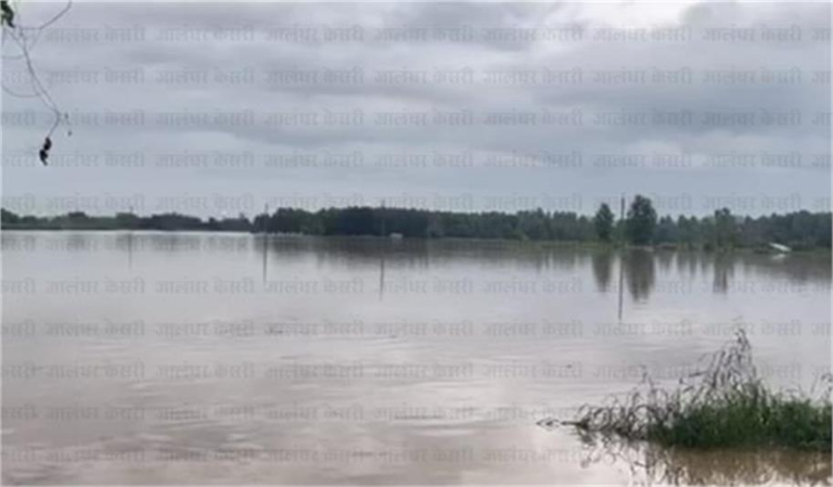 2025_8image_10_49_130669079sd-ll