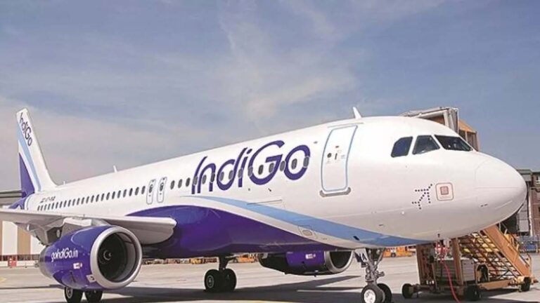 indigo flite