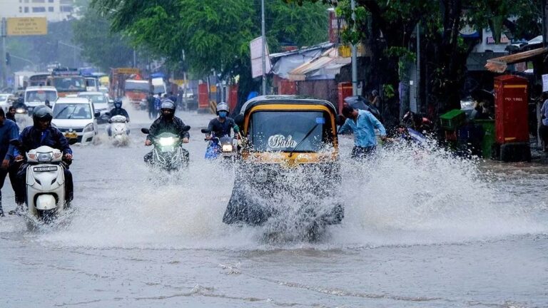 punjab barish