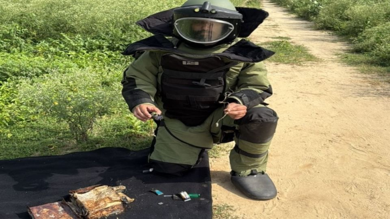 taranatarana-ma-mal-aaiiiida_e6e60668092e5140b9e0a3d13a49679f