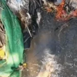 Pathankot-1789814307214_v
