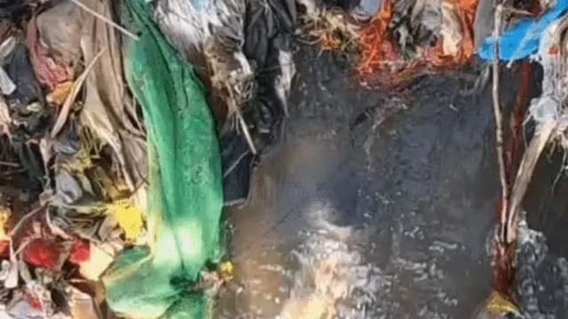 Pathankot-1789814307214_v