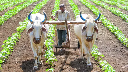 1785231771_6-Centre-Rules-Out-One-Time-Loan-Waiver-for-Small-and-Marginal-Farmers-8-2026-07-d71116650a074384ff291abd82533076-1200x675